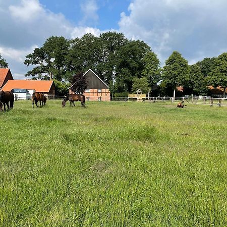 Landhaus Am Esch Warendorf Dış mekan fotoğraf