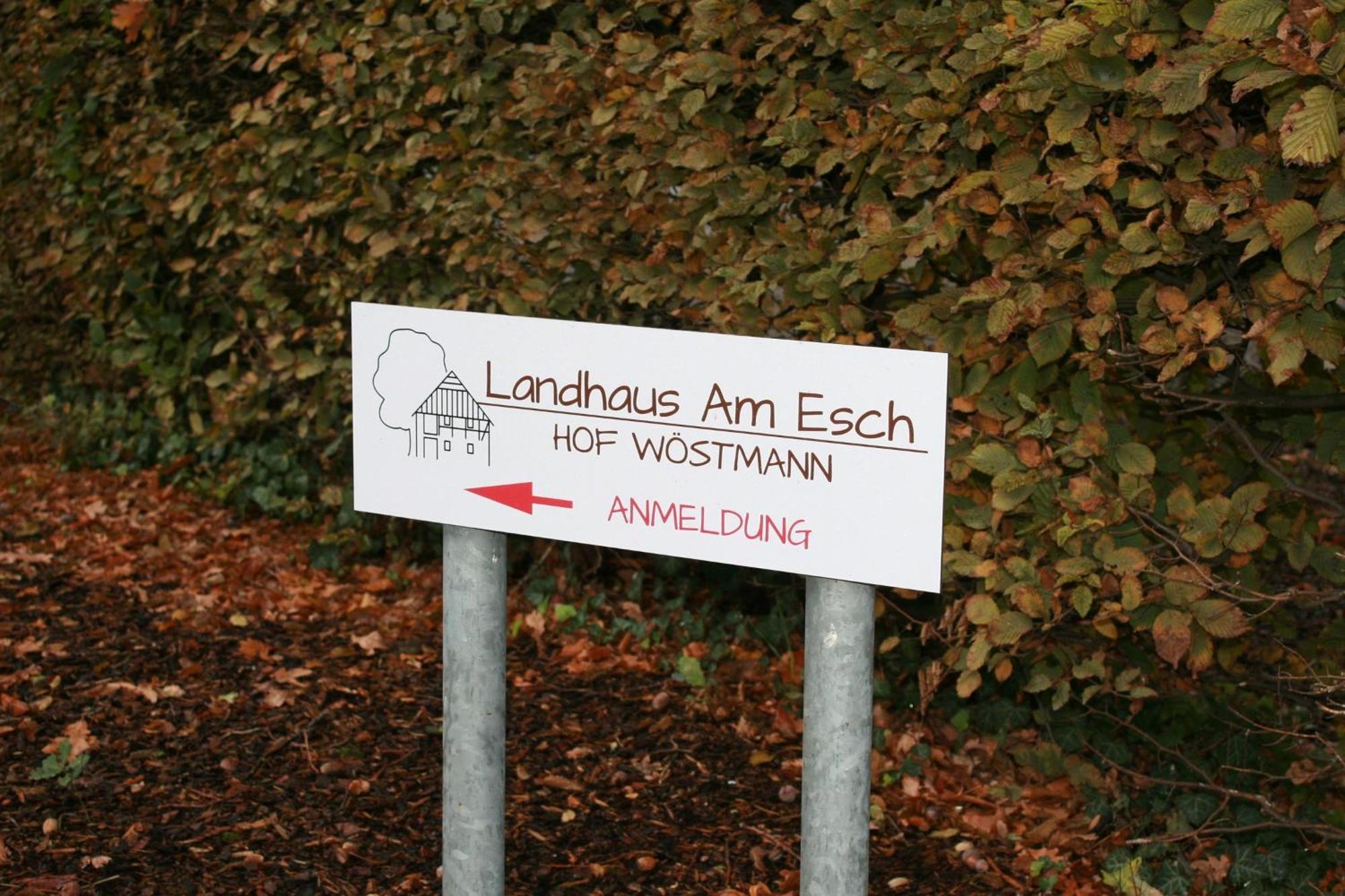 Landhaus Am Esch Warendorf Dış mekan fotoğraf