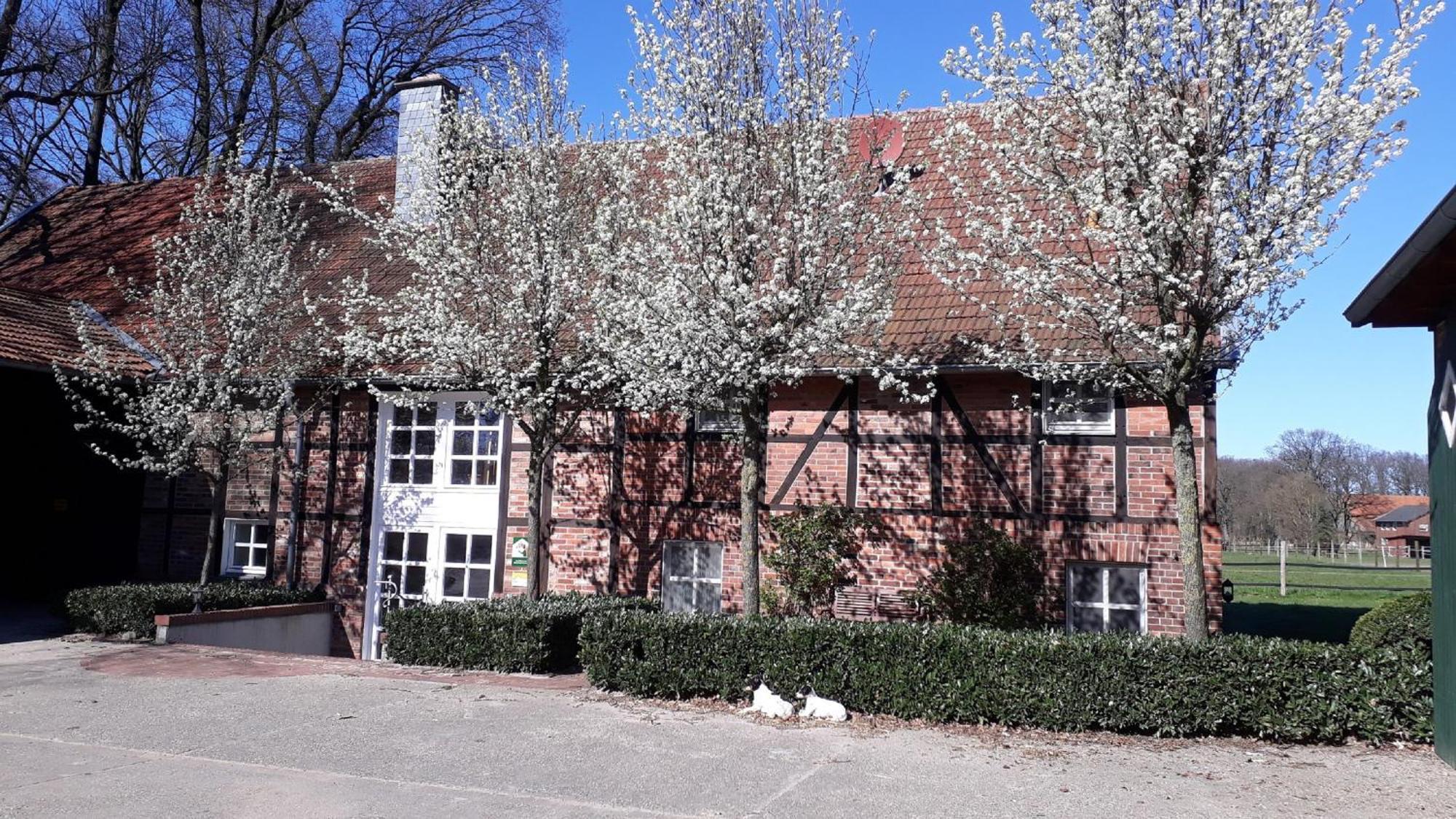 Landhaus Am Esch Warendorf Dış mekan fotoğraf