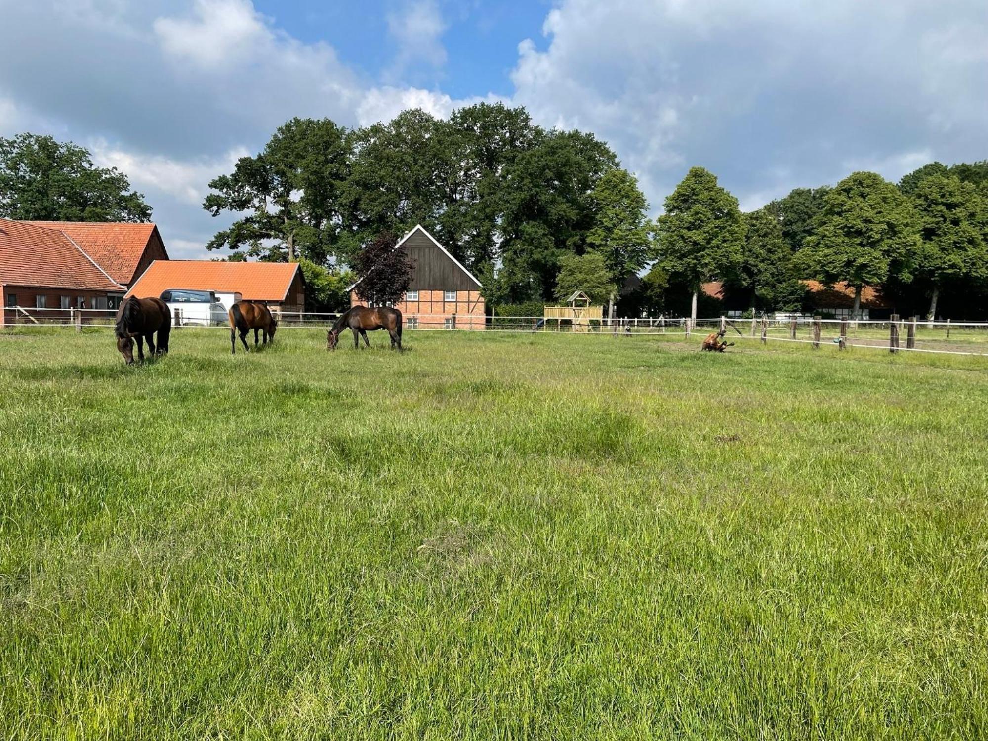 Landhaus Am Esch Warendorf Dış mekan fotoğraf